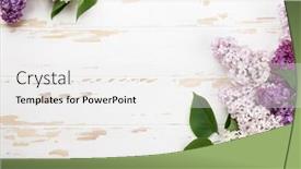  Presentation with top view - Colorful presentation theme enhanced with colorful lilac flowers over wooden backdrop and a white colored foreground
