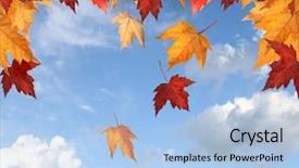  Presentation with maple leaves - PPT layouts consisting of colorful maple leaves against a blue sky background and a light blue colored foreground