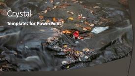  Presentation with maple leaves - Slide deck having colorful-maple-leaves-on-black background and a dark gray colored foreground