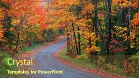  Presentation with maple - Audience pleasing presentation theme consisting of colorful-maple-trees-along-scenic backdrop and a tawny brown colored foreground