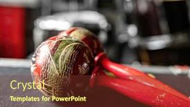  Presentation with music traditional - Presentation theme consisting of colorful-maracas-for-hispanic-music background and a tawny brown colored foreground