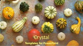  Presentation with colorful celebration - Theme enhanced with colorful-mini-pumpkins-on-rusty background and a tawny brown colored foreground