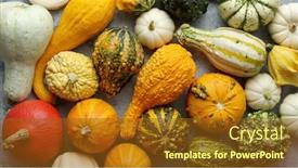  Presentation with colorful celebration - Presentation theme consisting of colorful-mini-pumpkins-on-white background and a tawny brown colored foreground
