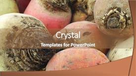  Presentation with mexican food mix colorful - Colorful PPT layouts enhanced with colorful mix of red yellow backdrop and a  colored foreground