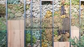  Presentation with moss - Beautiful presentation design featuring colorful-moss-texture backdrop and a coral colored foreground