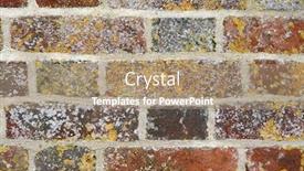  Presentation with lichen - Theme with colorful old brick wall with yellow lichen background and a coral colored foreground