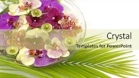  Presentation with orchid - Colorful PPT layouts enhanced with colorful orchid and candle backdrop and a blonde colored foreground