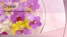  Presentation with colorful flower - Slides featuring colorful orchid flower in vase background and a coral colored foreground