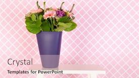  Presentation with blue pink - Cool new PPT theme with colorful pink and purple bouquet in blue vase in interior on white table backdrop and a lemonade colored foreground