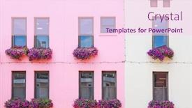  Presentation with pink flowers - Colorful slide set enhanced with colorful-pink-and-white-building backdrop and a pink colored foreground
