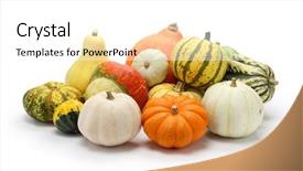  Presentation with bright colorful candy isolated - Theme featuring colorful pumpkin and squash collection background and a white colored foreground