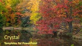  Presentation with oak tree - Presentation theme enhanced with colorful-red-pin-oak-tree background and a tawny brown colored foreground