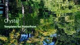  Presentation with tree - Beautiful presentation theme featuring colorful-reflections-of-tree-branches backdrop and a tawny brown colored foreground