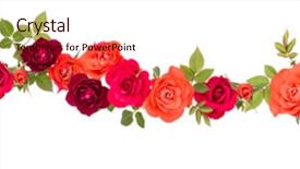  Presentation with colorful flower - Cool new slides with colorful rose flower bouquet border backdrop and a coral colored foreground