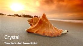  Presentation with stones and sand - PPT theme having colorful sea animals - shell on sand background and a  colored foreground