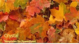  Presentation with autumn leaves - Slide deck with colorful seasonal autumn background pattern background and a crimson colored foreground