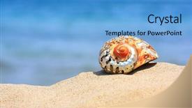  Presentation with shell - Beautiful PPT theme featuring colorful shell on sandy tropical beach backdrop and a teal colored foreground