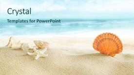  Presentation with shells beach summer holiday - PPT theme consisting of colorful shells on the beach background and a cool aqua colored foreground