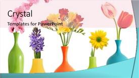  Presentation with colorful flower - Theme consisting of colorful spring flowers in bright background and a lemonade colored foreground