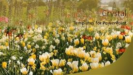  Presentation with gardens - Theme featuring colorful-spring-flowers background and a gold colored foreground