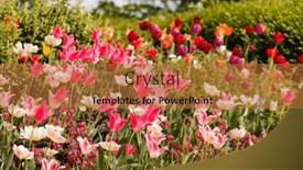  Presentation with gardens - Presentation with colorful-spring-flowers background and a red colored foreground