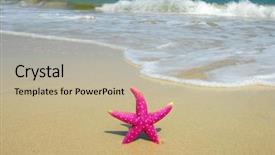  Presentation with starfish - Presentation theme consisting of colorful starfish sitting on beach background and a mint green colored foreground