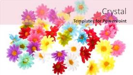  Presentation with summer flowers - Presentation theme with colorful summer flowers isolated over white background background and a coral colored foreground