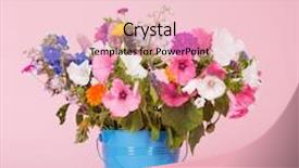  Presentation with football blue colors - Colorful slide deck enhanced with colorful summer garden flowers in blue bucket on pink background backdrop and a lemonade colored foreground