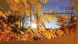  Presentation with clear - Slides consisting of colorful sunny forest scene in autumn season with yellow trees in clear day background and a red colored foreground
