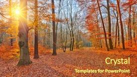  Presentation with nature sunset of colors - Cool new PPT layouts with colorful sunset in autumn forest backdrop and a red colored foreground