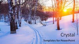  Presentation with forest winter - PPT theme featuring abstract grey arrow breaking glass background and a  colored foreground.