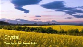  Presentation with nature sunset of colors - Slide set having colorful sunset on yellow rape background and a tawny brown colored foreground