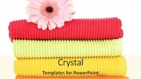  Presentation with colorful flower - Amazing slide deck having hell - yellow and ripe pumpkin lie backdrop and a yellow colored foreground