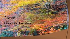  Presentation with trees - Audience pleasing theme consisting of colorful trees in autumn time backdrop and a  colored foreground