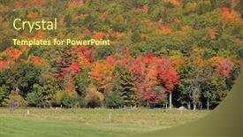  Presentation with trees - Presentation theme enhanced with colorful-trees-in-early-autumn background and a tawny brown colored foreground