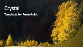  Presentation with trees - Presentation theme enhanced with colorful trees with a backlight background and a black colored foreground