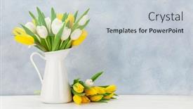  Presentation with blue tulip - PPT theme with colorful-tulip-flowers-bouquet background and a lemonade colored foreground