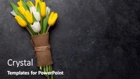  Presentation with tulip - Beautiful theme featuring colorful-tulip-flowers-on-stone backdrop and a dark gray colored foreground
