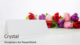 Presentation with tulips - Amazing PPT theme having colorful tulips and white card backdrop and a  colored foreground