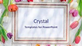  Presentation with tulips - Presentation consisting of colorful tulips around wooden frame background and a sky blue colored foreground