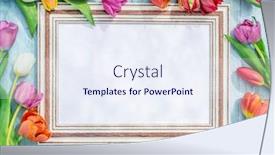  Presentation with tulips - Slide set consisting of colorful-tulips-around-wooden-frame background and a sky blue colored foreground