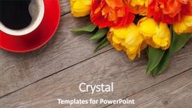  Presentation with coffee cup diary - Audience pleasing slide set consisting of colorful tulips bouquet and coffee backdrop and a gray colored foreground