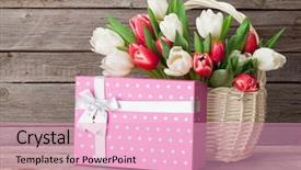  Presentation with tulips - Beautiful PPT layouts featuring colorful tulips bouquet and gift backdrop and a lemonade colored foreground