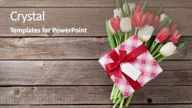  Presentation with text box - PPT theme having colorful tulips bouquet and gift background and a coral colored foreground