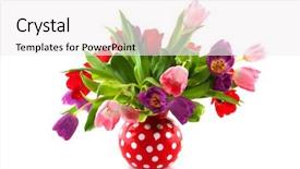  Presentation with speckles - Theme featuring colorful tulips in red speckles vase isolated over white background and a white colored foreground