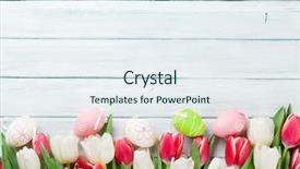  Presentation with tulips - PPT layouts enhanced with colorful tulips on wooden background background and a sky blue colored foreground