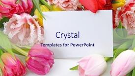  Presentation with blank note book and wooden - Presentation theme having colorful tulips with blank note background and a sky blue colored foreground