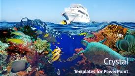  Presentation with tropical reef fish - Audience pleasing slide set consisting of colorful underwater offshore rocky reef backdrop and a  colored foreground