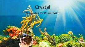  Presentation with underwater - PPT theme with colorful underwater world with sun background and a teal colored foreground