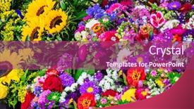  Presentation with market - PPT layouts enhanced with colorful variety of flowers sold background and a  colored foreground